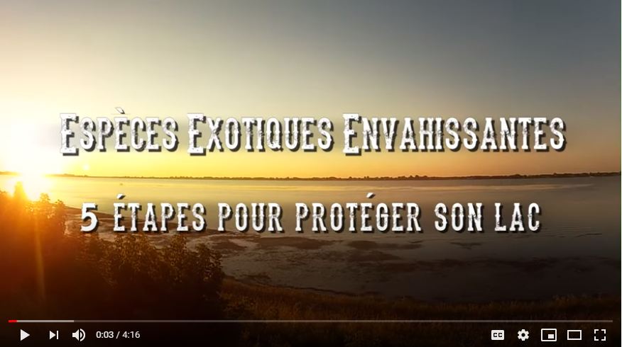 Procédure de nettoyage et d’inspection d’embarcations