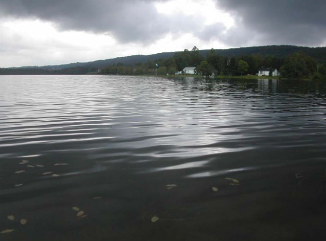 Petit Lac Ferré
